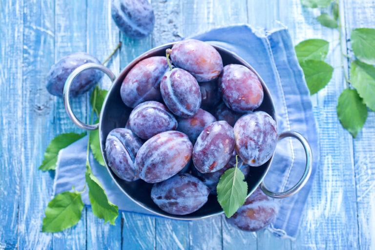 Faire des pruneaux au soleil : méthode traditionnelle et séchage