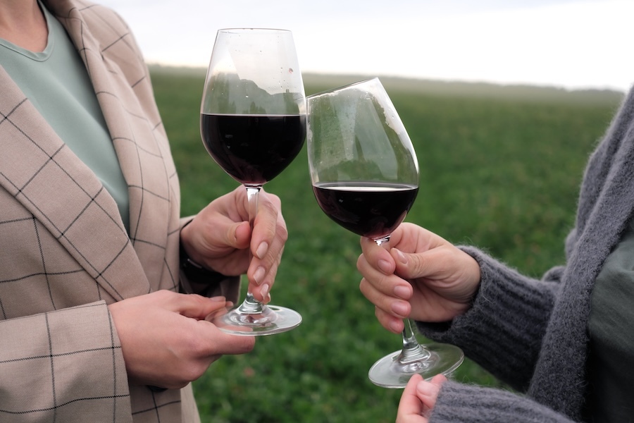 Dégustations de verres de vin rouge dans les vignes